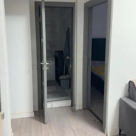 Stefan Cel Mare Apartment *