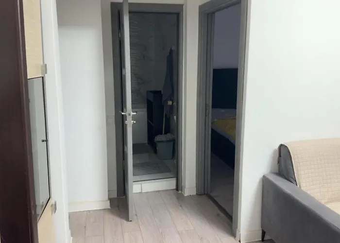 Stefan Cel Mare Apartment *
